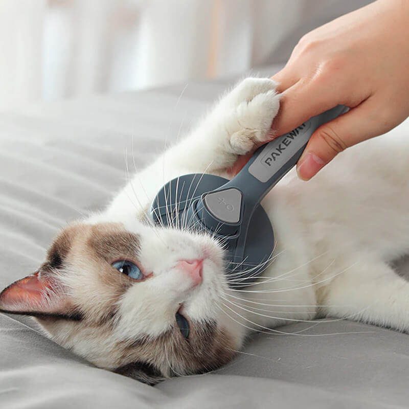 Escova Para Pets Removedora De Pelos